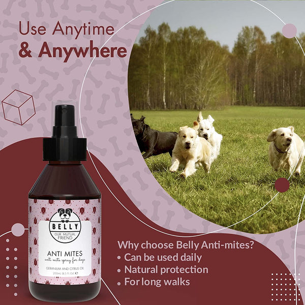 ANTI MITES SPRAY