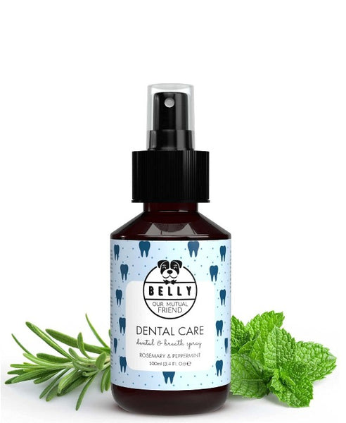 HEALTHY DOG DENTAL CARE SPRAY