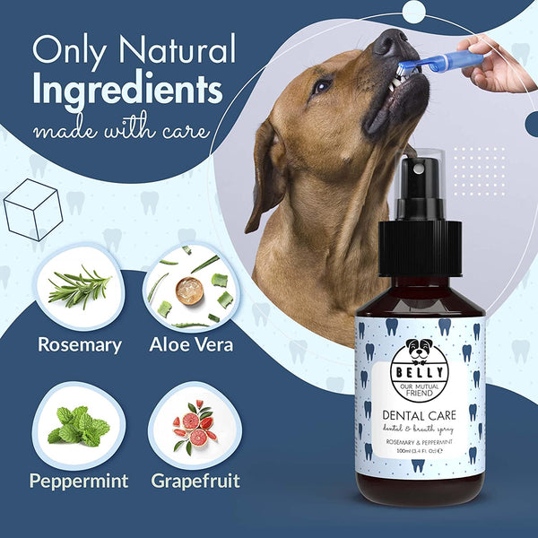 HEALTHY DOG DENTAL CARE SPRAY