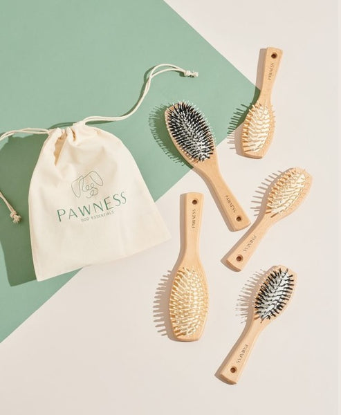 FAVOURITE DOG BRUSH