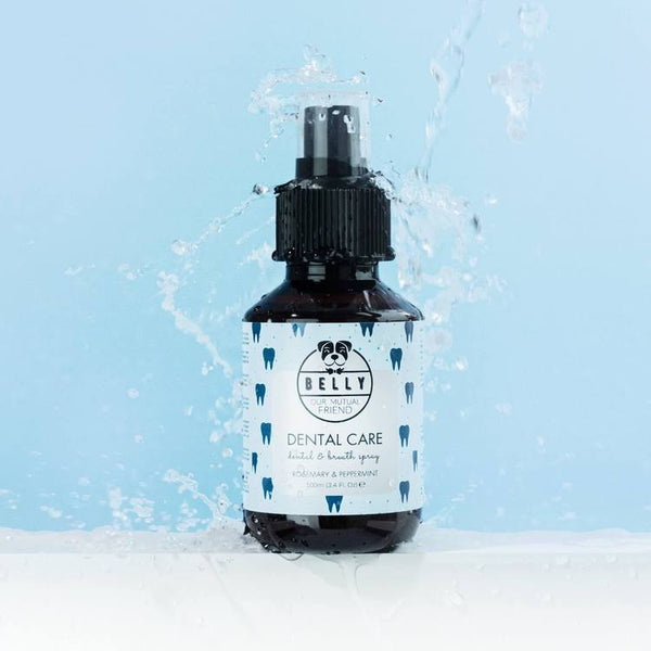 HEALTHY DOG DENTAL CARE SPRAY