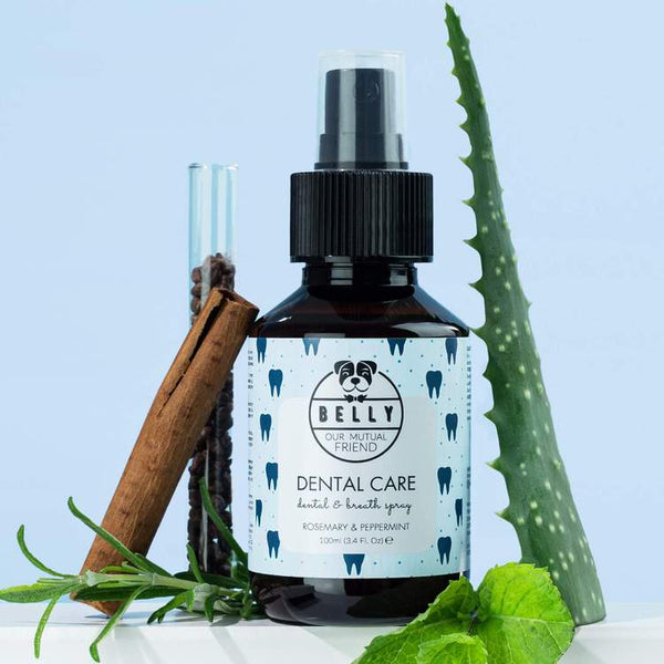 HEALTHY DOG DENTAL CARE SPRAY