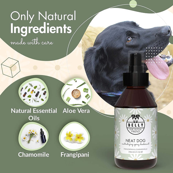 NEAT DOG FRAGRANCE CHAMOMILE & FRANGIPANI