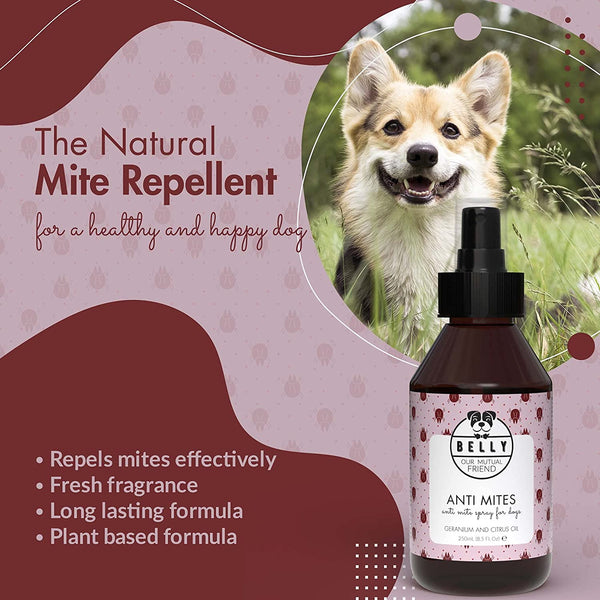 ANTI MITES SPRAY