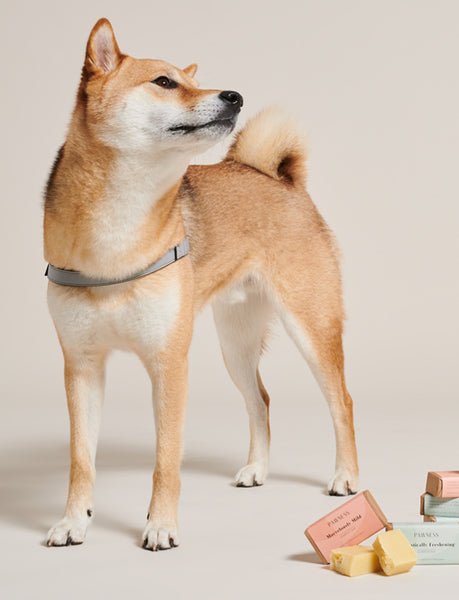 MARVELOUSLY MILD - DOG SHAMPOO BAR
