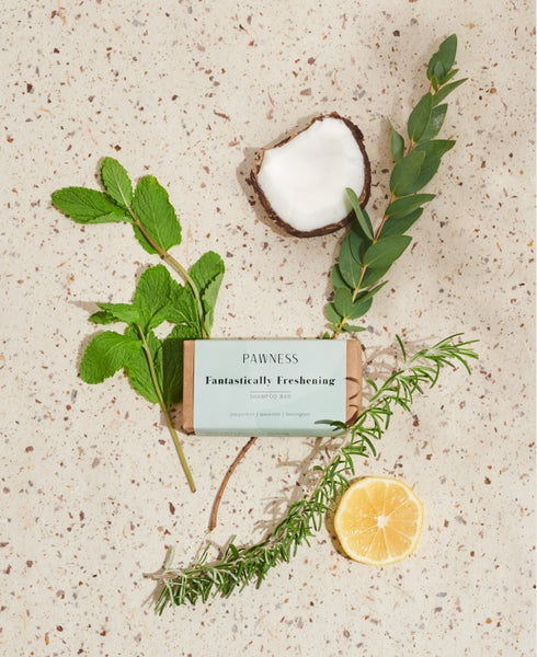 FANTASTICALLY WILD - DOG SHAMPOO BAR