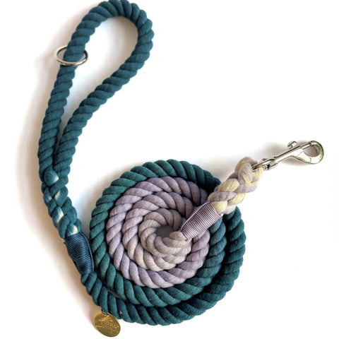 ombre dog rope lead blue purple