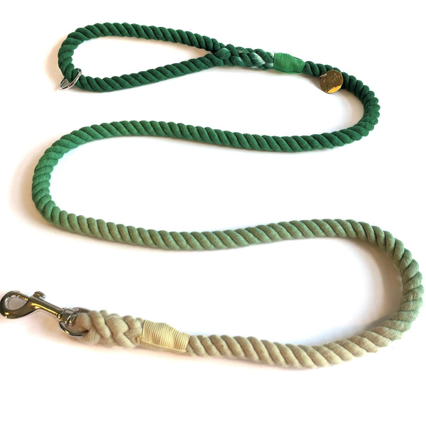 ombre dog rope lead green