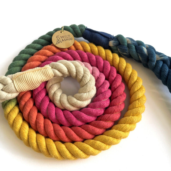 ombre dog rope lead raninbow colourful