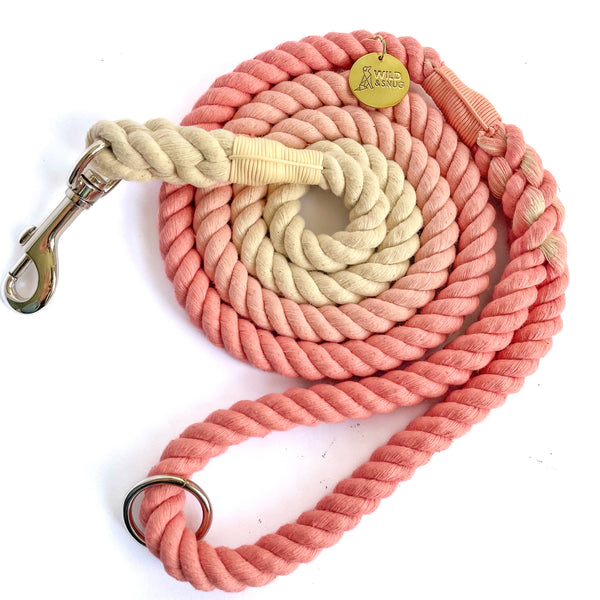 ombre dog rope lead pink